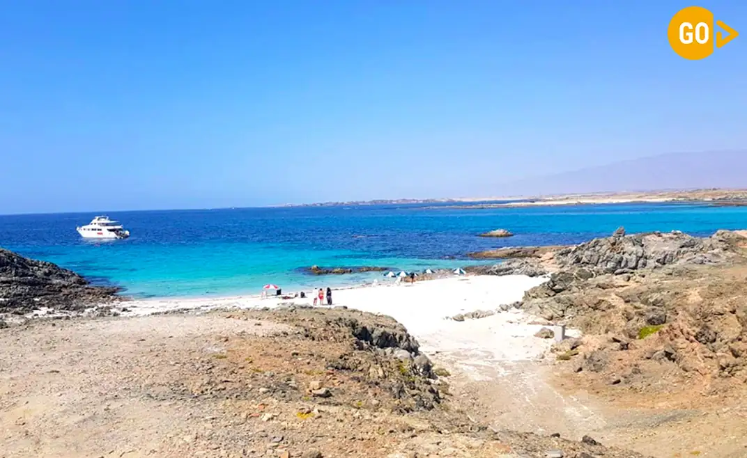 Snorkeling in Salalah Tour Dive Into the Arabian Sea’s Hidden Kingdom! Gallery (3)