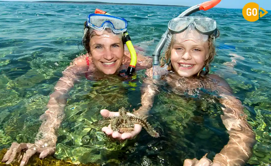 Snorkeling in Salalah Tour Dive Into the Arabian Sea’s Hidden Kingdom! Gallery