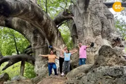 3 day salalah trip Dive deep into salalah nature Gallery