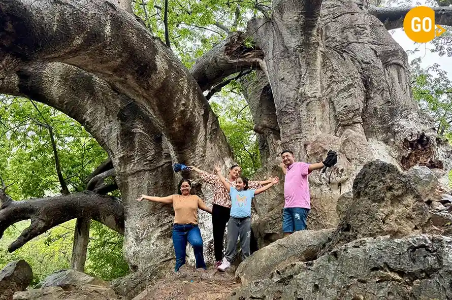 3 day salalah trip Dive deep into salalah nature Gallery