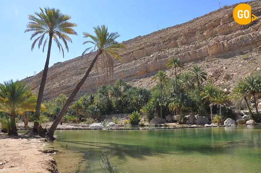 Desert Safari Wahiba Sands & Wadi Bani Khaled Tour