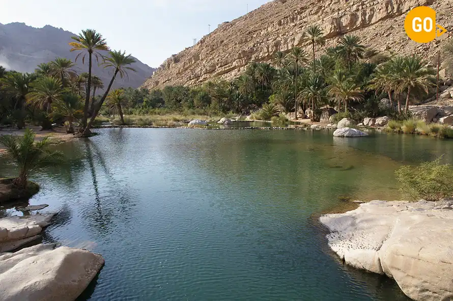 Desert Safari Wahiba Sands & Wadi Bani Khaled Tour