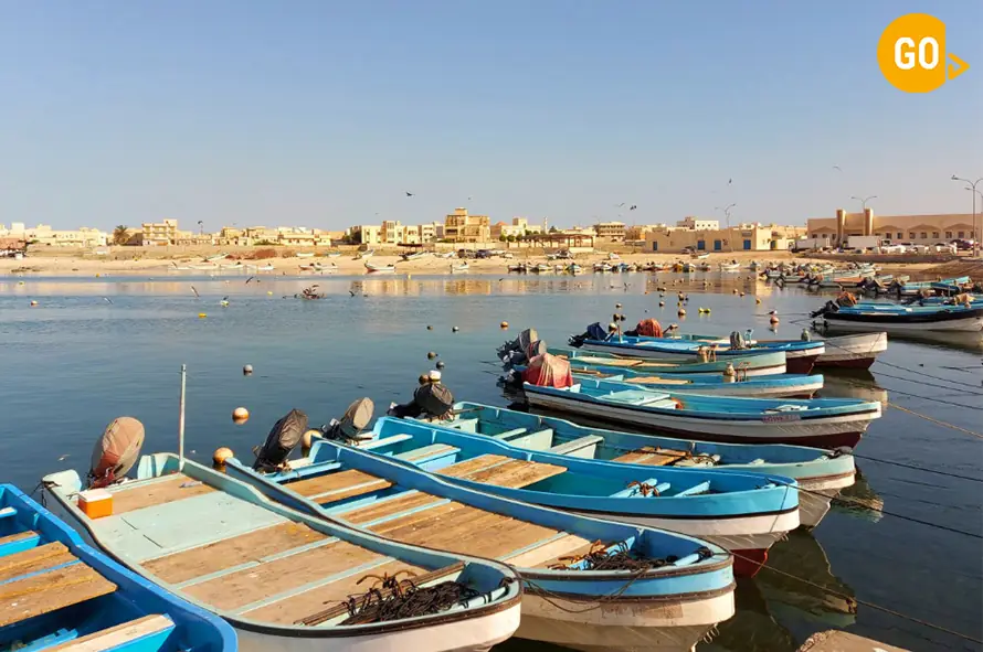 East Salalah Tour Conquer the Eastern Part of Salalah!