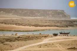 East Salalah Tour Conquer the Eastern Part of Salalah!