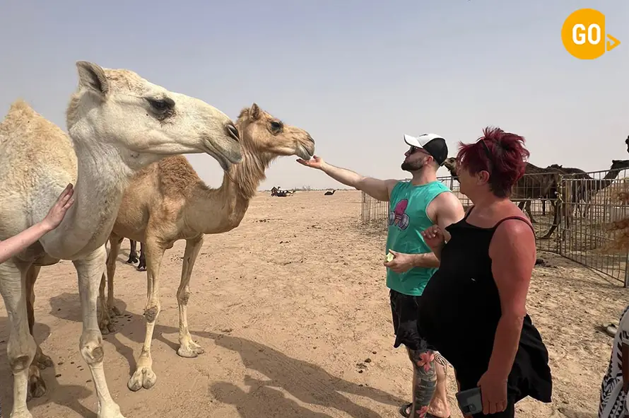 Empty Quarter Safari (Overnight)