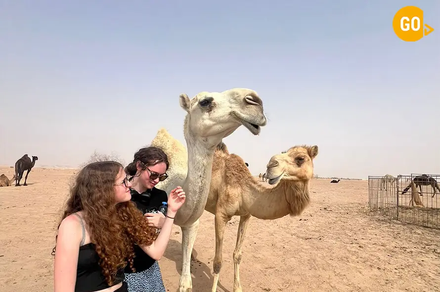 Empty Quarter Safari (Overnight)