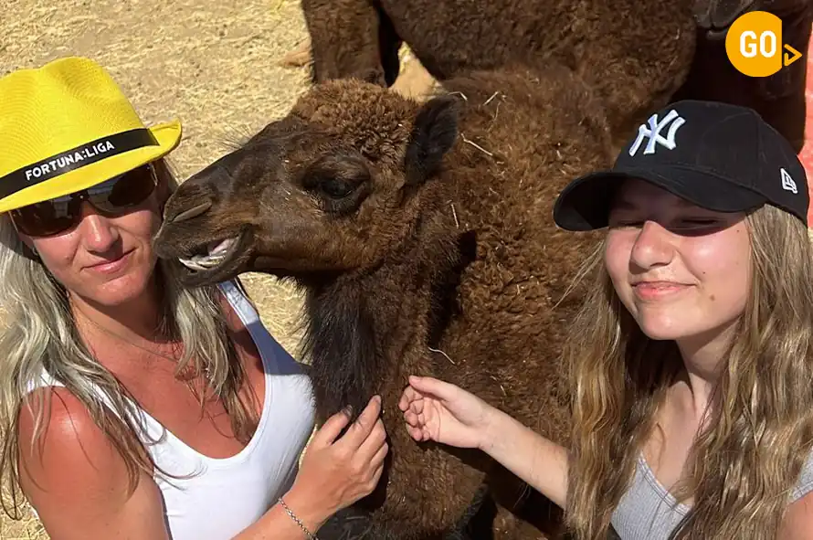 Empty Quarter Safari (Overnight)