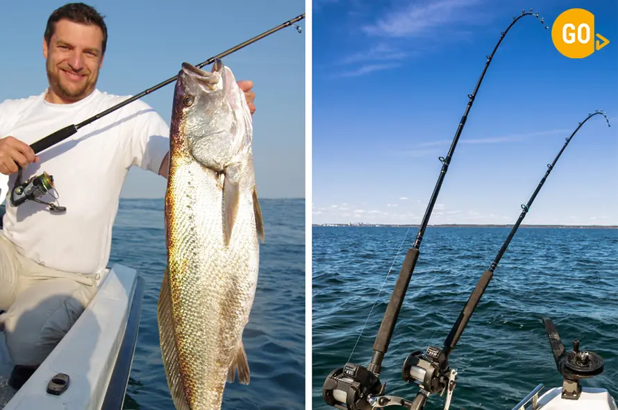 Fishing in Salalah Tour Hunt Your Arabian Sea Memory