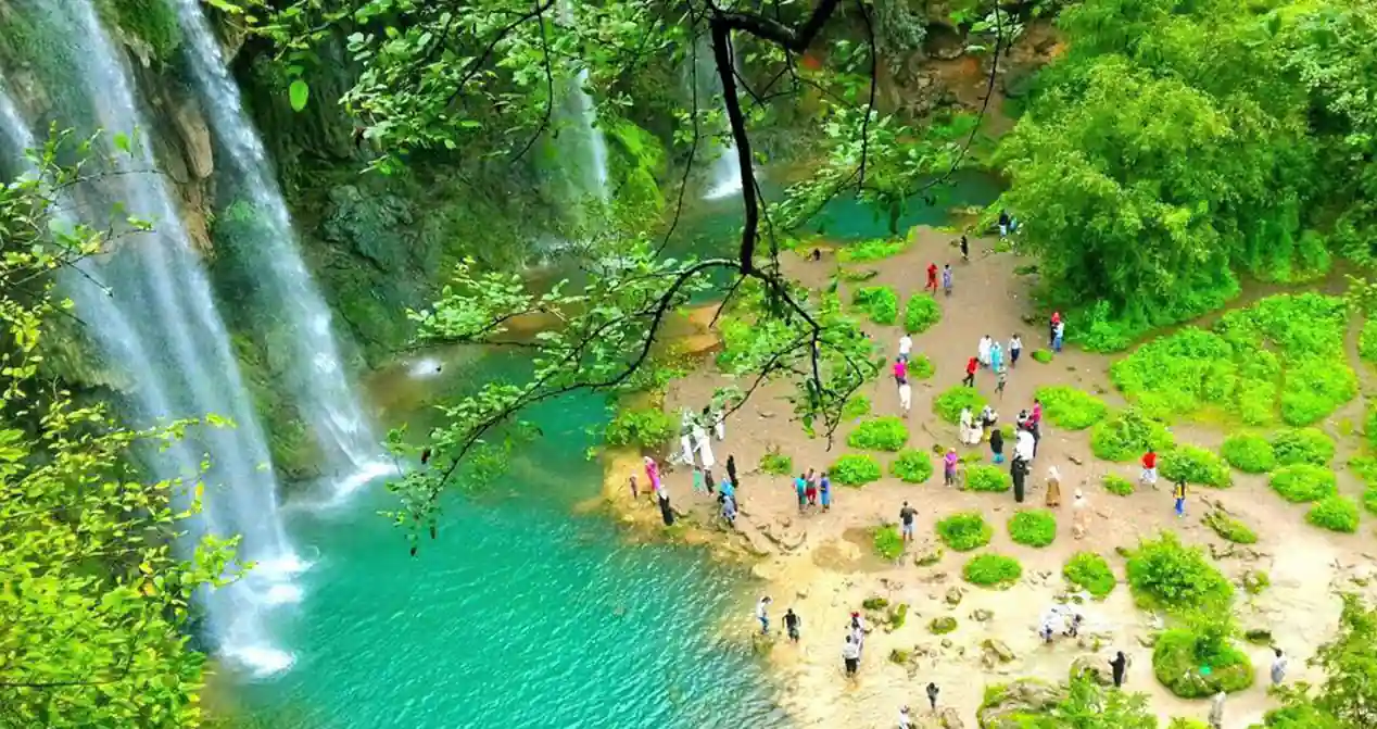 Flora and Fauna Ayn Athum Salalah Oman