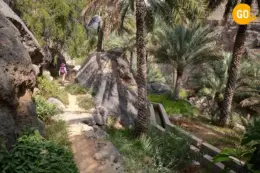 Grand Canyon Muscat Tour