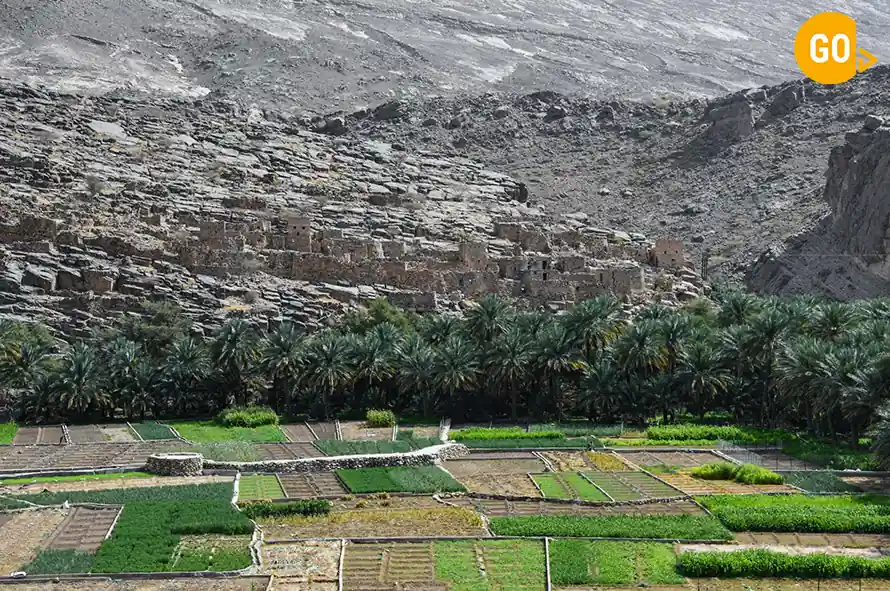 Grand Canyon Muscat Tour