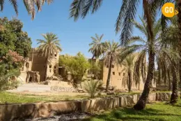 Grand Canyon Muscat Tour