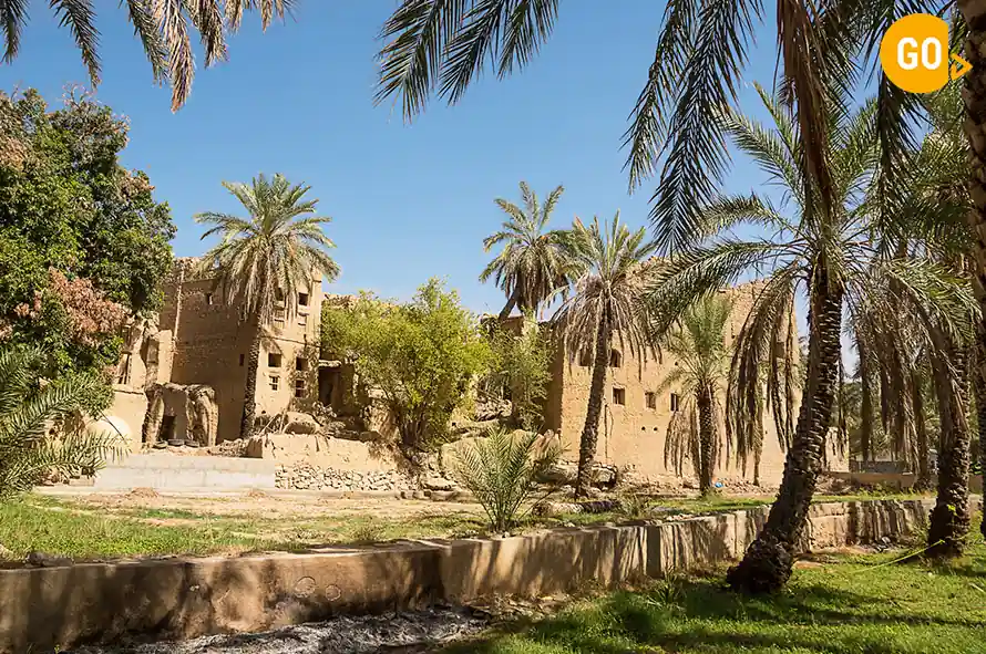 Grand Canyon Muscat Tour