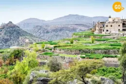 Jebel Akhdar & Nizwa Day Tour from Muscat
