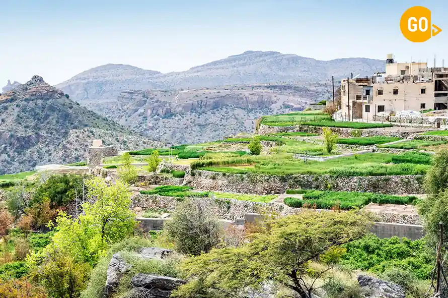 Jebel Akhdar & Nizwa Day Tour from Muscat