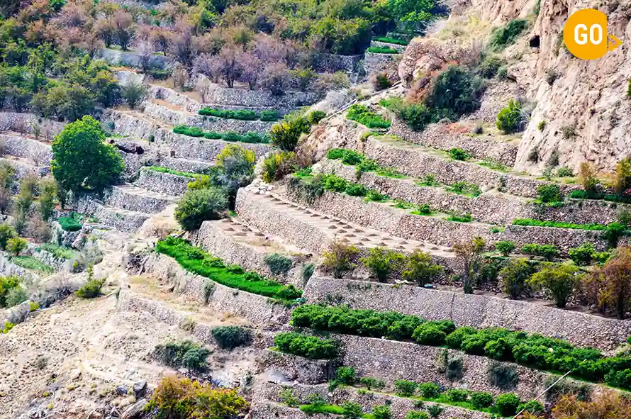 Jebel Akhdar, Nizwa and Birkat Al Mouz - Day trip Gallery