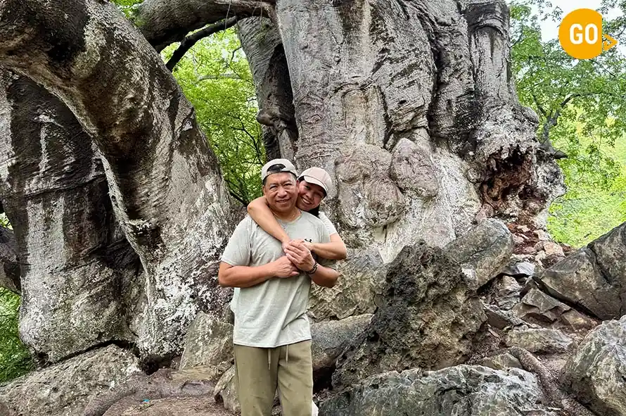 Mountain Safari - Wadi Darbat Waterfalls Gallery