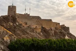 Muscat City Tour – Full Day