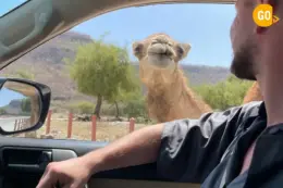 3-Day Salalah Adventure – Mountains, Desert & Sunset Safari Gallery 1