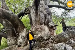 3-Day Salalah Adventure – Mountains, Desert & Sunset Safari Gallery