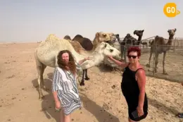 3-Day Salalah Adventure – Mountains, Desert & Sunset Safari Gallery