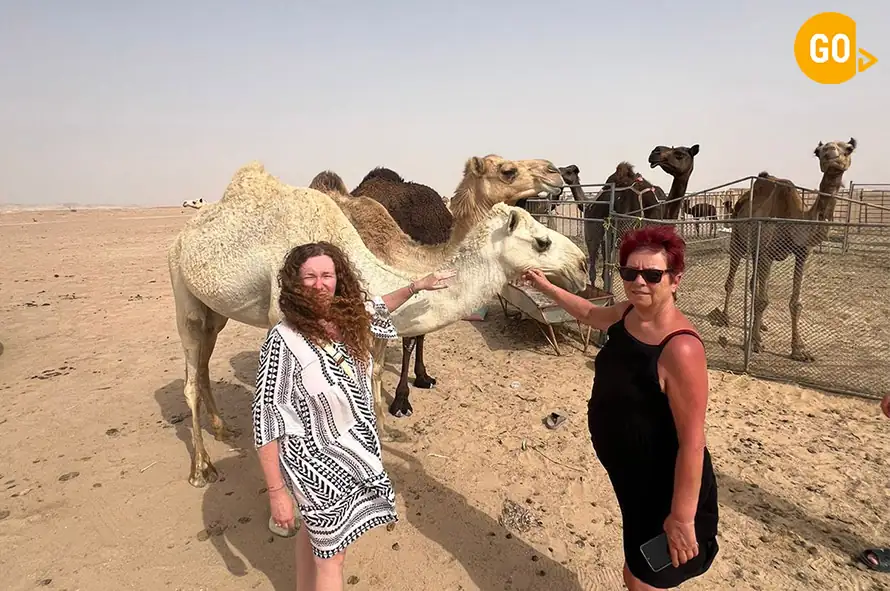 3-Day Salalah Adventure – Mountains, Desert & Sunset Safari Gallery