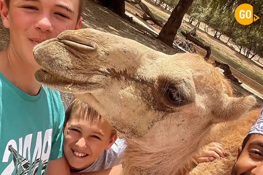 3-Day Salalah Adventure – Mountains, Desert & Sunset Safari Gallery