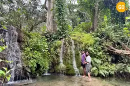 3-Day Salalah Discovery – Mountains & City Highlights