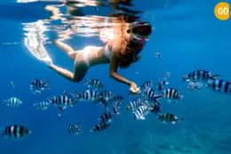 Best snorkeling in mirbat tour