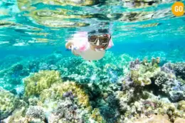 Mirbat snorkeling spots