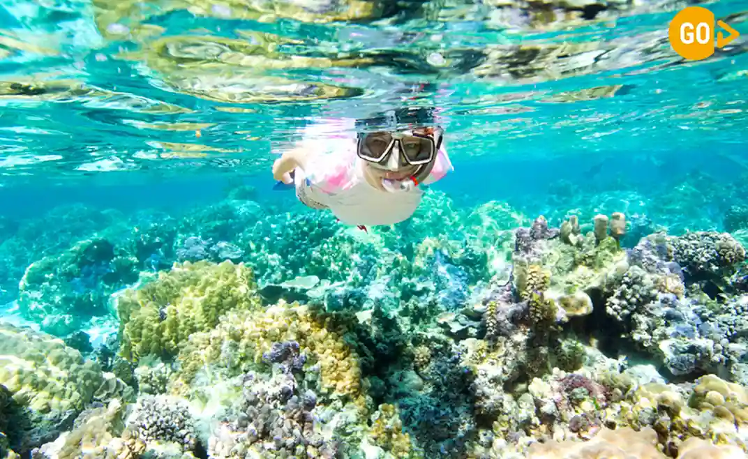 Mirbat snorkeling spots