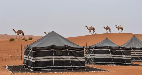 Salalah Bedouin Camping Experience