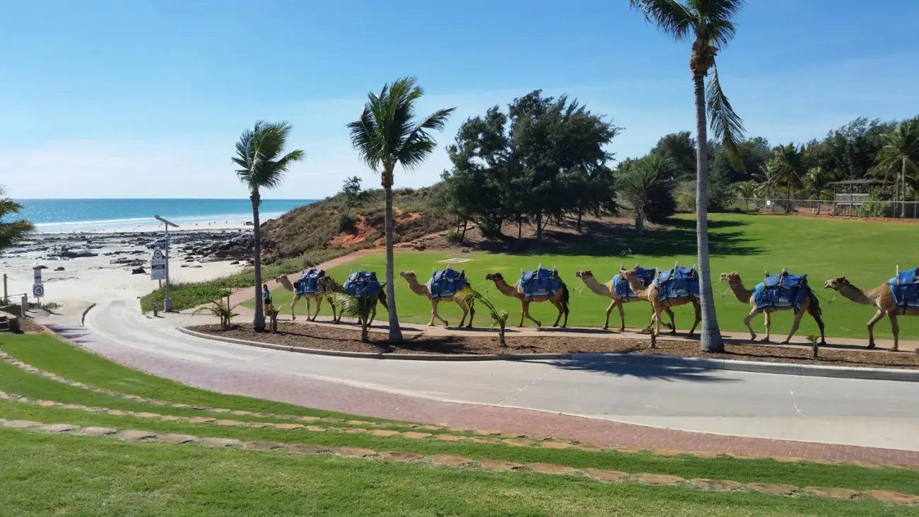 Salalah Oman excursions