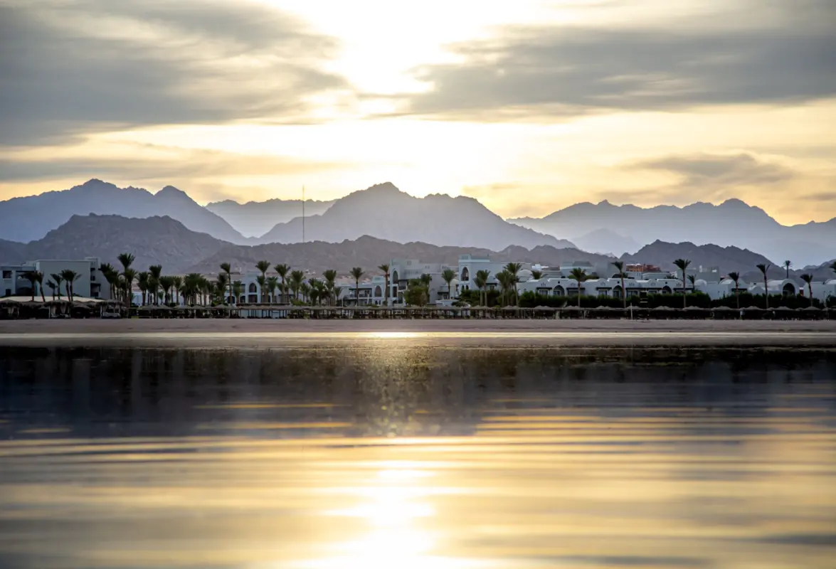 Salalah safari tours