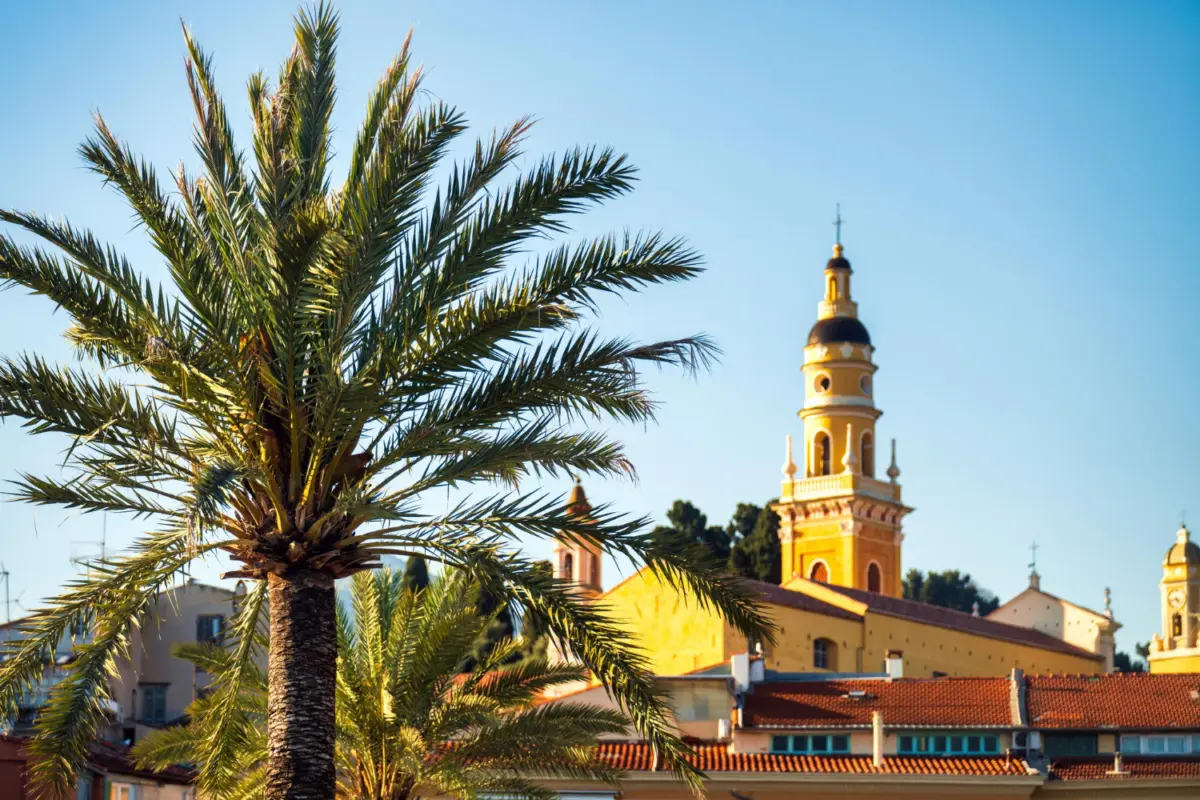 Salalah safari tours