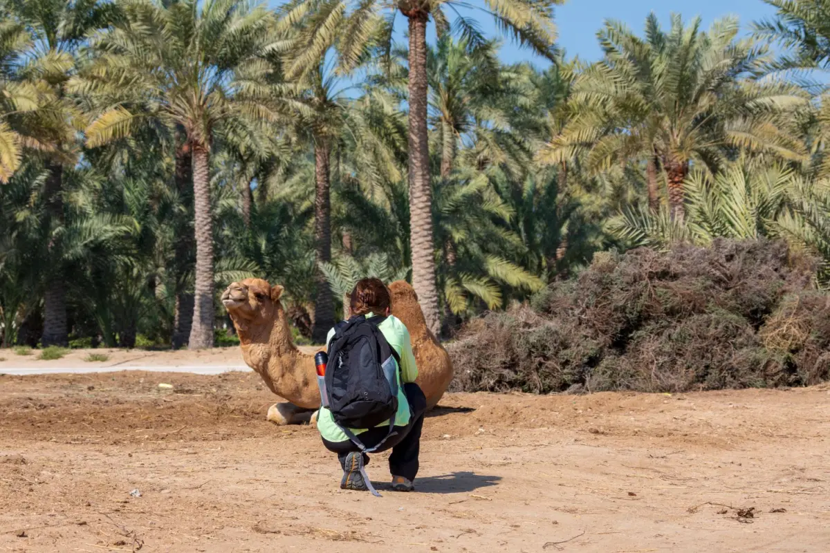 oman salalah tour packages​