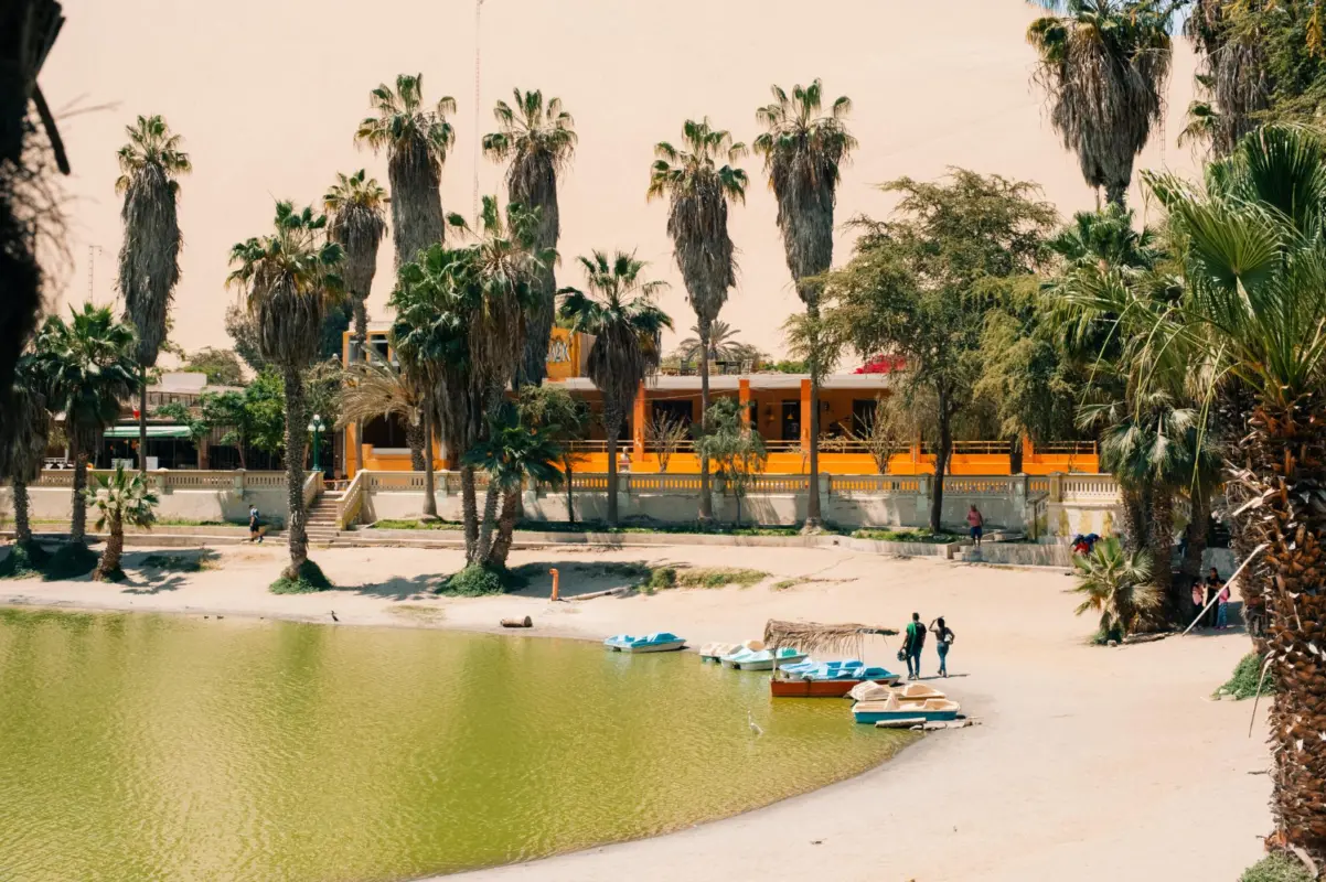 salalah tour packages from muscat​