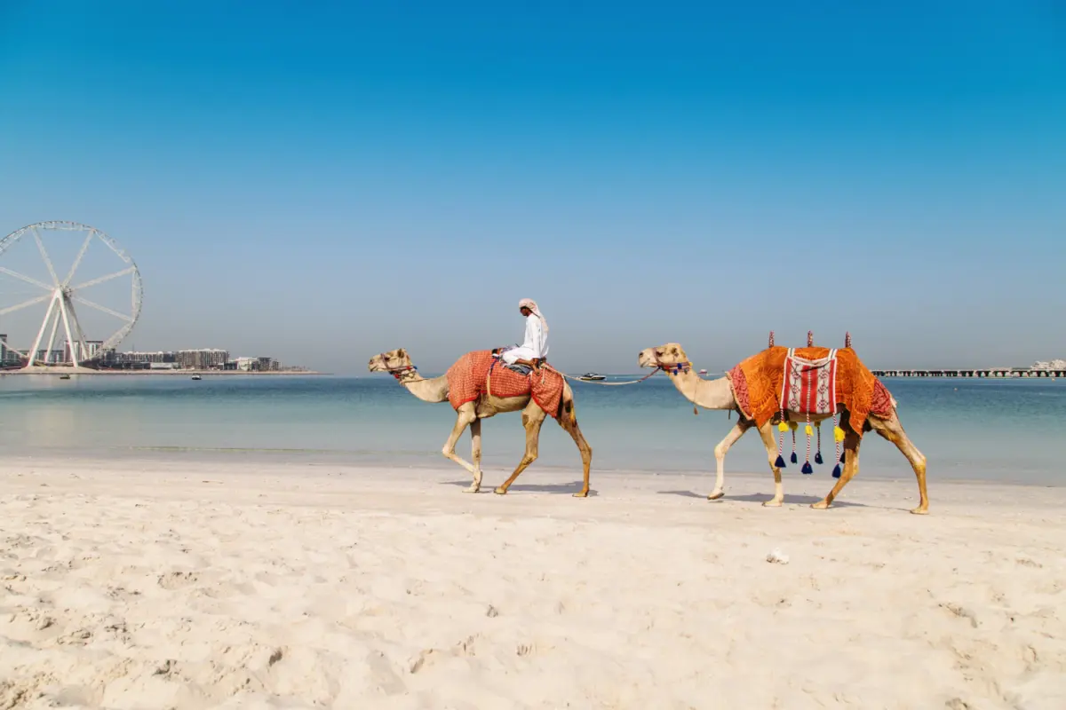 salalah tour packages from muscat​