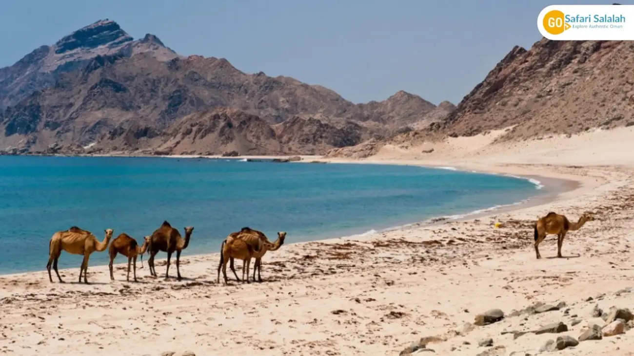 travel salalah oman