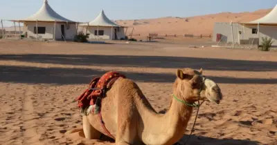 one day trip in muscat​