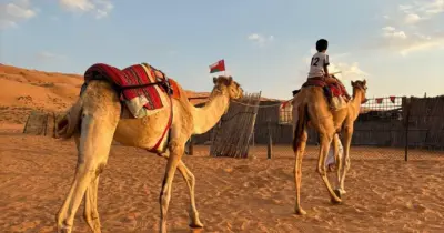 day trip from muscat to desert