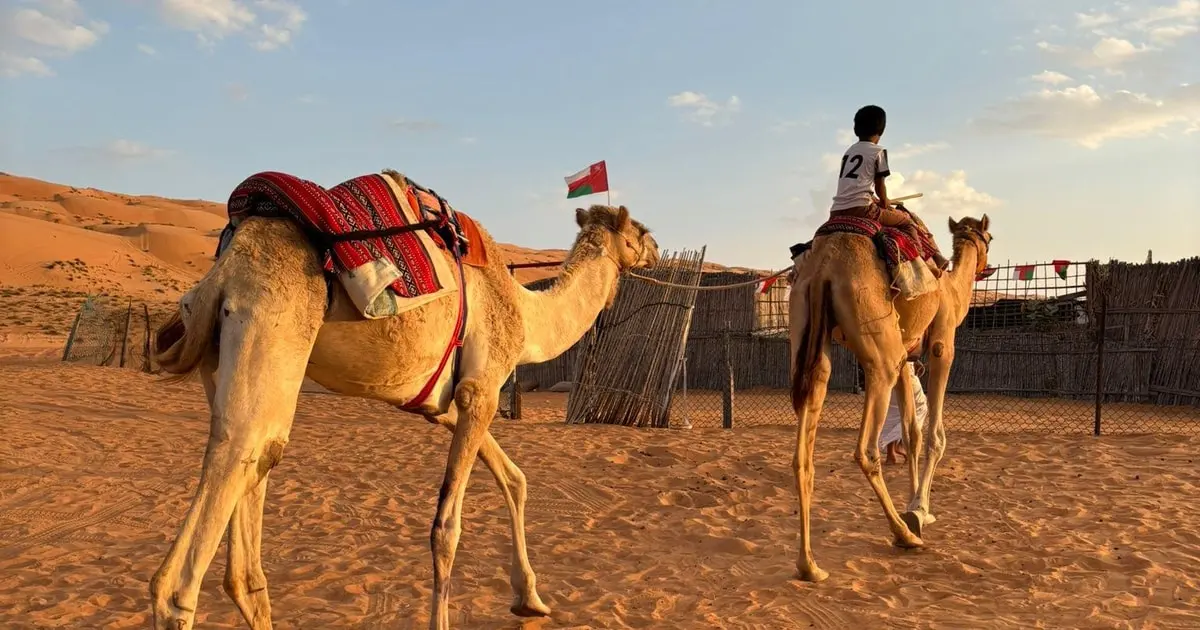 day trip from muscat to desert​