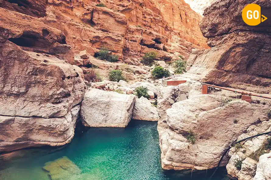 day trips from muscat​