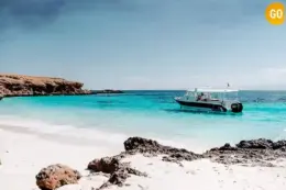 one day trip in muscat​