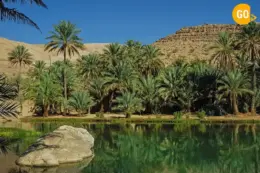 day trips from muscat oman​