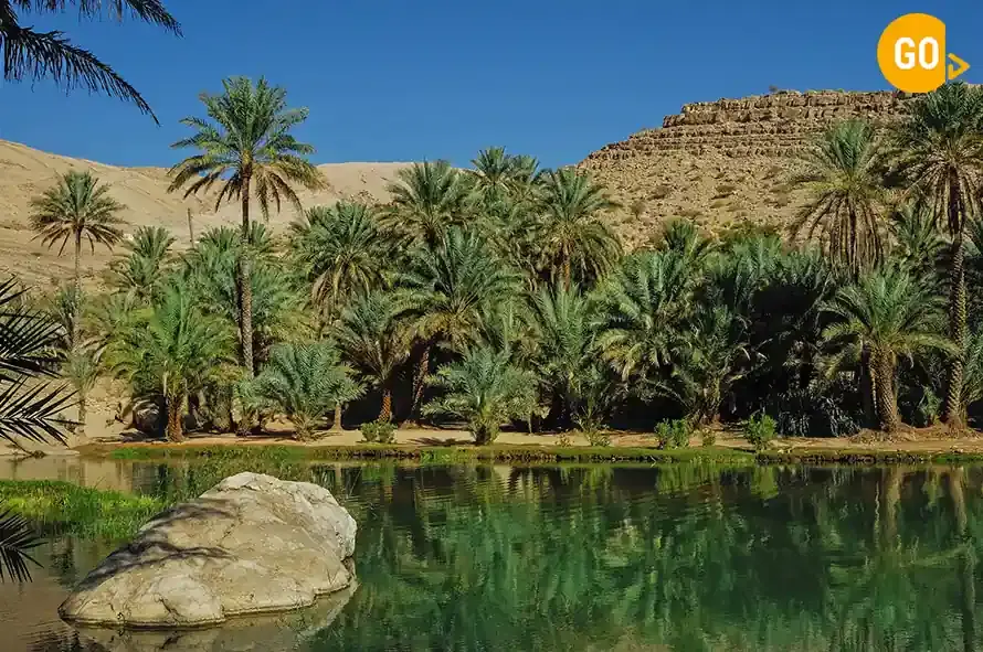 day trips from muscat oman