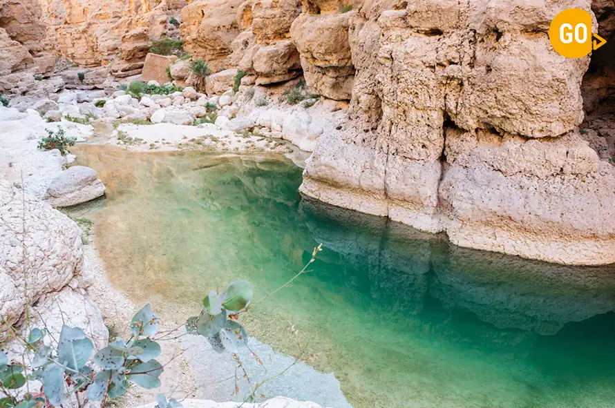 half day trips from muscat​