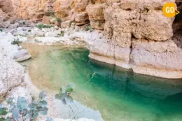 day trips from muscat to nizwa​