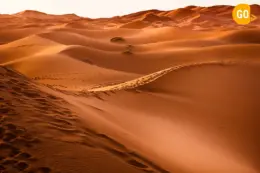 half day trips from muscat​