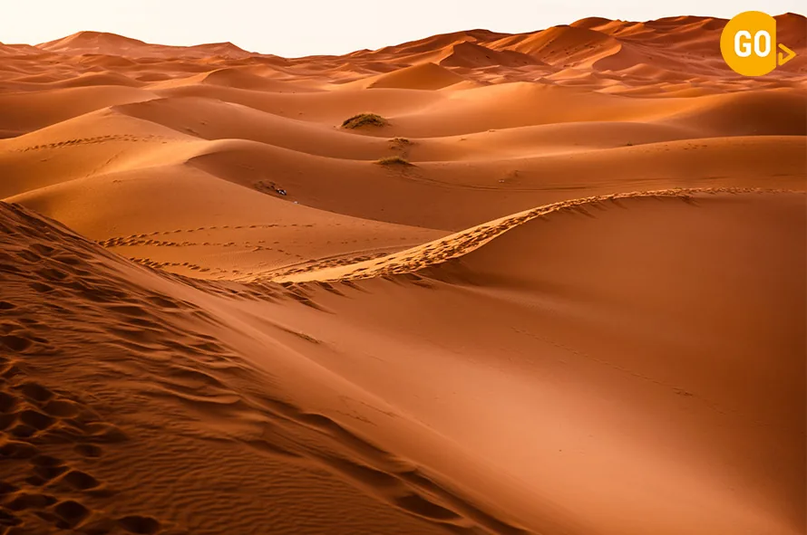 half day trips from muscat​